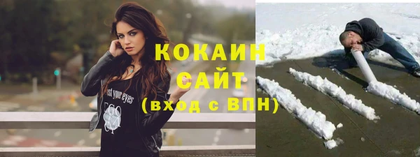 хмурый Алзамай