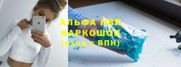 хмурый Алзамай