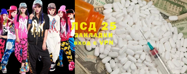 хмурый Алзамай